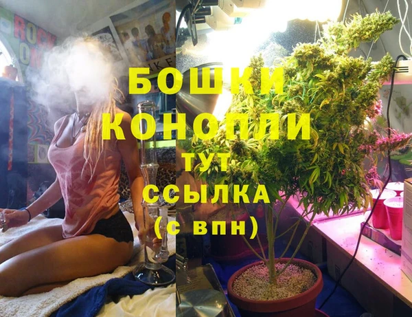 mix Белокуриха